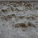...aus der Nähe betrachtet...; sieht doch aus wie ein frisch verschneites Ackerfeld über welches eine Herde Kühe getrampelt sind...