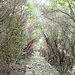...ed a volte la scelta ti porta in un tunnel naturale...