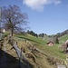 auf einem idyllischen Weg geht es aufwärts