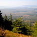 Blick über die einsamen Duinger Wälder