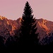 Karwendel am Abend 03<br />Der Berg rechts von der Fichte ist das Gerberkreuz mit seinem markanten Westgrat, im Sommer von Kletterern häufig begangen (III), da im Verhältnis fester Fels<br />Am linken Bildrand die Karwendelköpfe