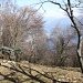 sentiero della dorsale - roccolo