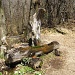 fontana nei pressi di S.Nicola