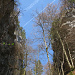 Wolfschlucht
