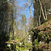 Wolfschlucht
