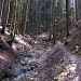 Schofgraben