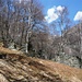 Ruinen von Calarescio im Val Sementina