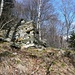 Die Ruine auf 1130m, welche die Siegfriedkarte noch kannte. Sie führt noch eine weitere Hütte auf, welche wir nicht gefunden haben.