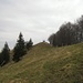 Gipfelankunft Schnebelhorn (Foto: Bombo)