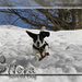 Play and fun time with Nora in the snow