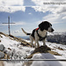 Nora - Les Agudes (1707m)<br />Gipfelkreuz - summit cross - cruz de cumbre
