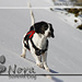 Nora wating