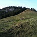 Die steile Almwiese oberhalb der Sameralm. Weglos bis zur kleinen Spitze und von dort auf Jägersteigen in den urtümlich belassenen Bergwald
