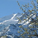 Bergfrühling  vor dem Nadelhorn