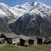 Alp Jungu