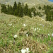 frühlingshafter Blick Richtung Latrejespitz