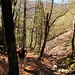 Aufstieg im herbstlichen Wald