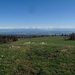 Auf dem Montoz 