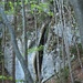 imposanter Wasserfall des Pichoux