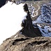 Blick zurück auf Alp Palfris