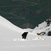 Ein Angestellter der Bergbahnen beim Ausheben des Schneeschachtes weit über den grünen Frühlingswiesen