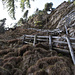 Die Treppe hinauf zum Aussichtspunkt
