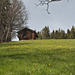 Blick zurück in den Frühling