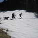 la prima neve a quota 1600 verso il motto d'Arbino versante nord