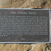 The plaque for the signal tree - Most experts believe the oak  tree was manipulated into this shape when it was small, by Indians who were known to do this to mark their trails. 
