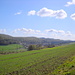 Sackwald
