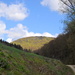 Im Sackwald