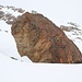 <b>A circa 3030 m di quota raggiungo un curioso macigno marrone - rossiccio che emerge dalla neve: sembra la testa di un drago</b>. 