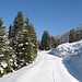 Morgens ist die Forststraße hinauf zur Nonsalm noch dick eingeschneit - nachmittags beim Abstieg war der Neuschnee wieder verschwunden.