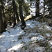 Ausstieg Ralligstöck -  noch ein wenig Schnee