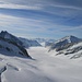 Der Jungfraufirn und der Aletschgletscher. Hier gehts runter zum Konkordiaplatz