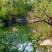 ansa del fiume presso il bosco del Belgiardino