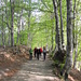 Poco sopra Cimadera 
