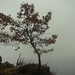 Salgo nella nebbia