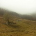 Alpe di Cima: un rudere