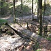 Querung des Bächleins unterhalb Chamm