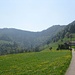 Blick zurück