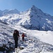 über unwegsames Alpenrosen-Gebüsch
(Bild von TL Peter)