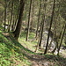 Waldabstieg dem Dürrenbach entlang