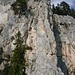 letzter Pfeiler beim Wildenauersteig