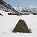 <b>A mezzogiorno raggiungo il Passo del San Gottardo (2111,1 m). <br />Solo la punta del masso che lo indica emerge dalla spessa coltre di neve.</b> 