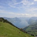 ... und etwas weiter oben Richtung Brunnen, Rigi Hochflue und Mythen