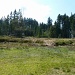 Hochmoorgebiet bei Salomonstempel 1