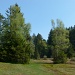 Hochmoorgebiet bei Chellen 2