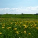 bei Rigelschwendi