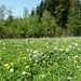 Frühlingsstimmung